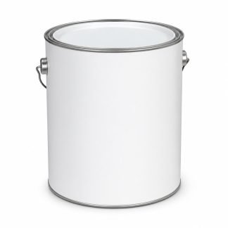 Interior Wall Paint (1 Gallon)